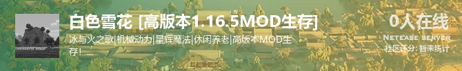 白色雪花 [高版本1.16.5MOD生存]状态贴图