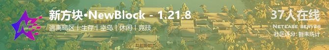 新方块·NewBlock - 1.21.8状态贴图
