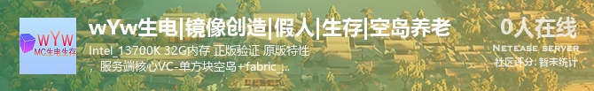 wYw生电|镜像创造|假人|生存|空岛养老状态贴图