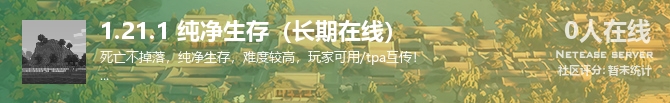 1.21.1 纯净生存（长期在线）状态贴图