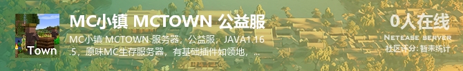 MC小镇 MCTOWN 公益服状态贴图