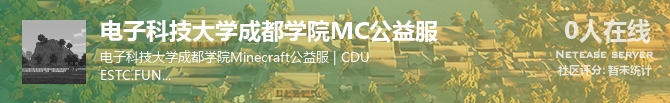 电子科技大学成都学院MC公益服状态贴图
