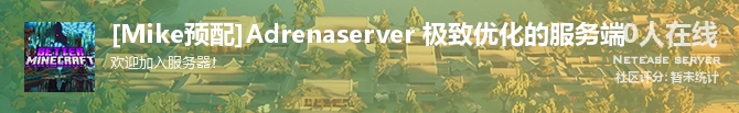 [Mike预配]Adrenaserver 极致优化的服务端状态贴图