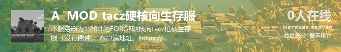 A  MOD tacz硬核向生存服状态贴图