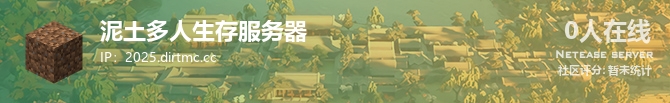 泥土多人生存服务器状态贴图