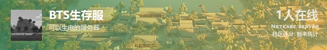 BTS生存服状态贴图