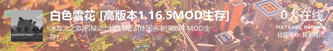 白色雪花 [高版本1.16.5MOD生存]状态贴图