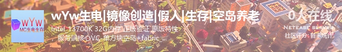 wYw生电|镜像创造|假人|生存|空岛养老状态贴图