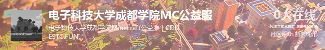 电子科技大学成都学院MC公益服状态贴图