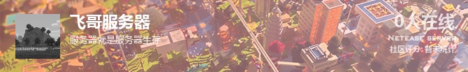 飞哥服务器状态贴图