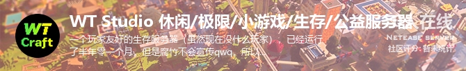 WT Studio 休闲/极限/小游戏/生存/公益服务器状态贴图