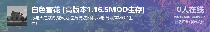 白色雪花 [高版本1.16.5MOD生存]状态贴图