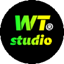 WT Studio 休闲/生存服务器
