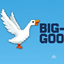 BIG-GOOSE server