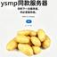 ysmp