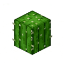 CactusRPG