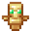 ccggx SMP