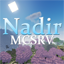 Nadir