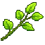 leaves.xin