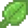LEAF叶子服