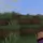 FFA